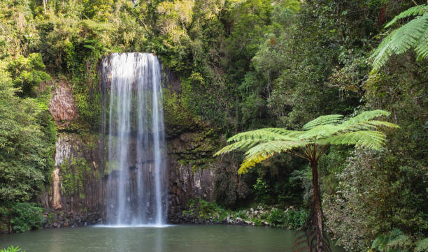 istock Millaa Millaa Falls, Queensland, Australia 1226897449