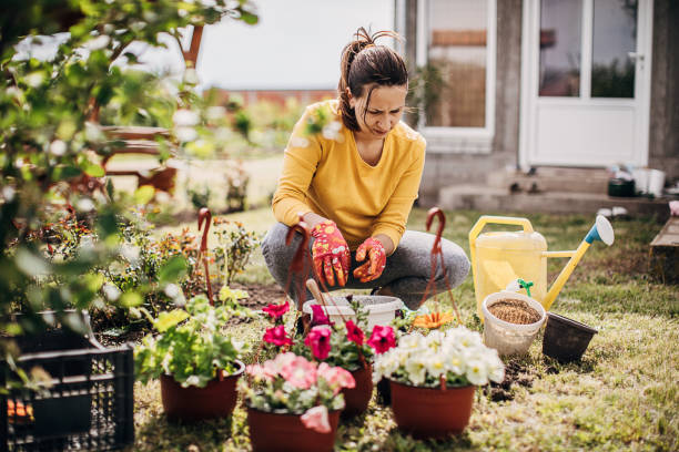 istock Female Potting Flower Plants In Backyard 1226898557