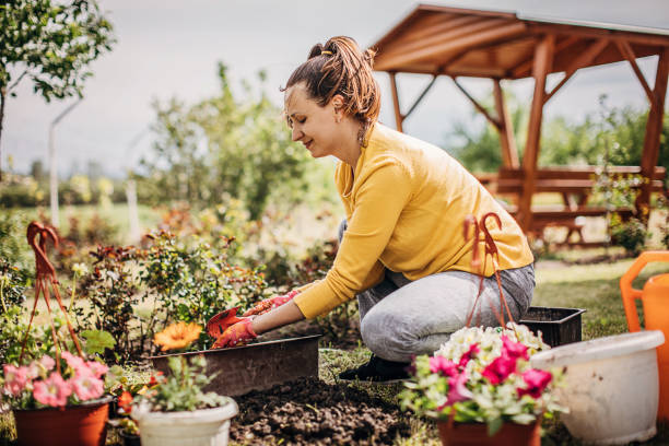 istock Female Potting Flower Plants In Backyard 1226898853