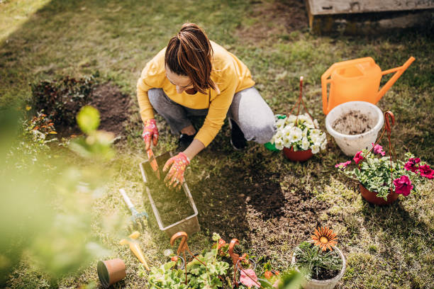 istock Woman Potting Flower Plants In Backyard 1226899021