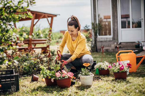 istock Female Potting Flower Plants In Backyard 1226899403