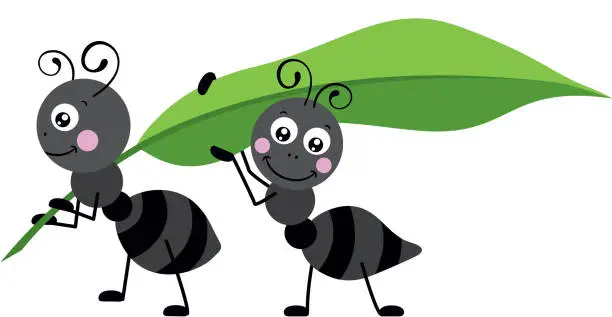 Vector illustration of Two ants carrying a green leaf