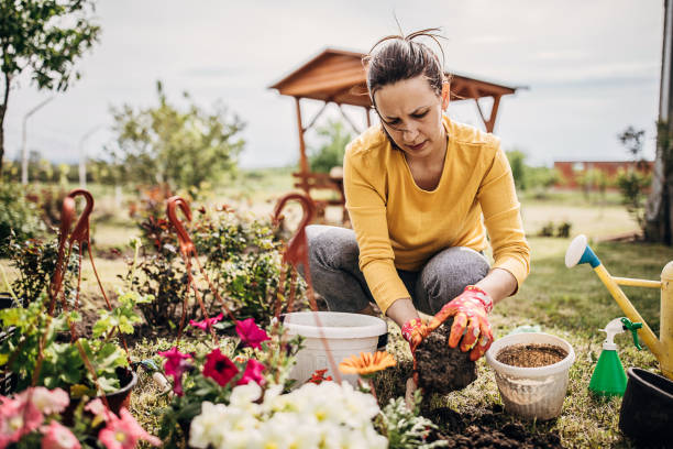 istock Female Potting Flower Plants In Backyard 1226899839