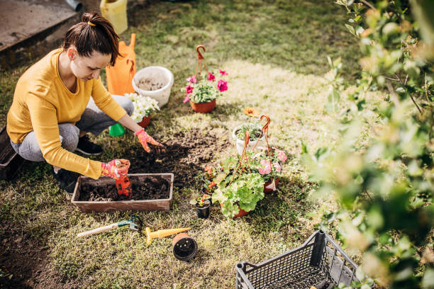 istock Female Potting Flower Plants In Backyard 1226900656