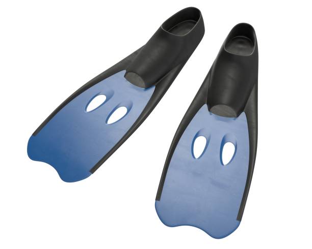 istock 3D render of blue diver flippers isolated on white 1226900953