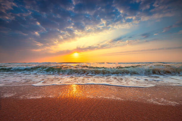 istock Beach sunrise over the tropical sea 1226902290