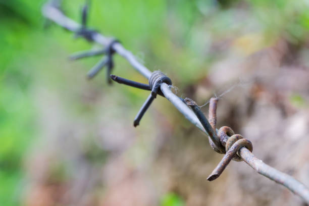 Section of the stretched old rusted barbed wire on a blurred background of greenery, close-up in selective focus