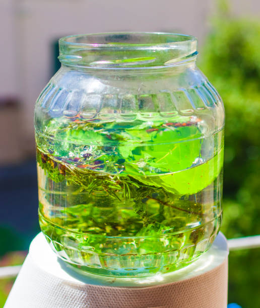istock artisan produces liqueur with herbs and aromatic spices 1226906505