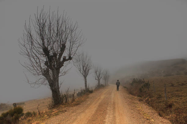 istock hiking in the misty forest 1226909836