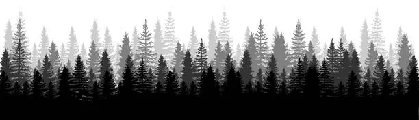 Vector illustration of Forest Panorama view. Pines. Spruce nature landscape. Forest background. Set of Pine, Spruce and Christmas Tree on White background. Silhouette forest background. Vector illustration
