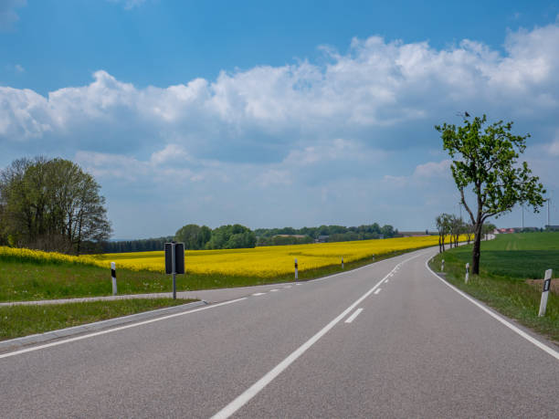 strada di campagna nuove strade per il futuro - last opportunity emotional stress green foto e immagini stock