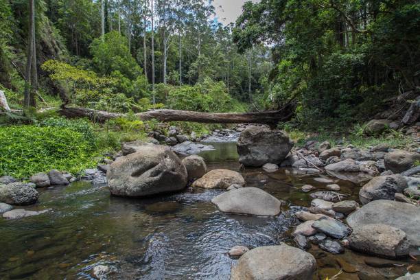 istock The idyllic Christmas Creek 1226911002