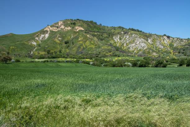 monte san zaccaria calitri avellino - campo san zaccaria foto e immagini stock