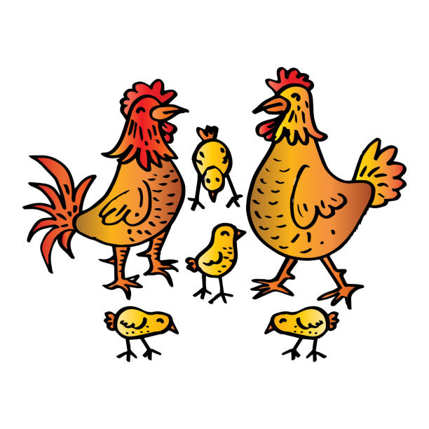 57 Mother Hen Illustrations & Clip Art - iStock | Mother hen with chicks