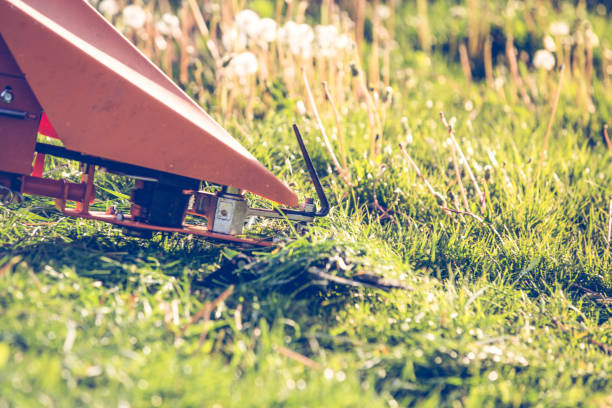 istock Professional lawn mower cutting grass 1226912815