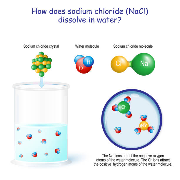 illustrazioni stock, clip art, cartoni animati e icone di tendenza di come si dissolve il cloruro di sodio (nacl) nell'acqua - hydrogen molecule white molecular structure