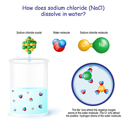How does sodium chloride (NaCl) dissolve in water? The Na ions attract the negative oxygen atoms of the water molecule. The Cl ions attract the positive  hydrogen atoms of the water molecule.
