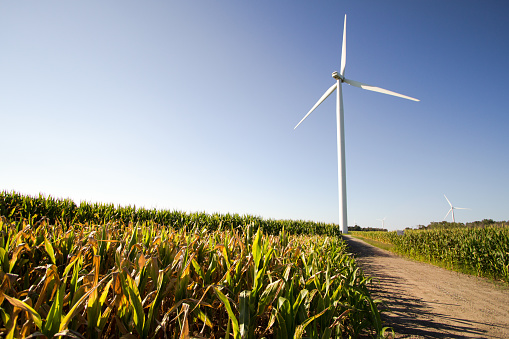 Large wind turbine in an agricultural field in the American Midwest.