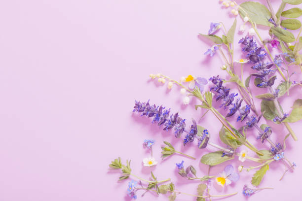 istock beautiful summer flowers on pink background 1226923682