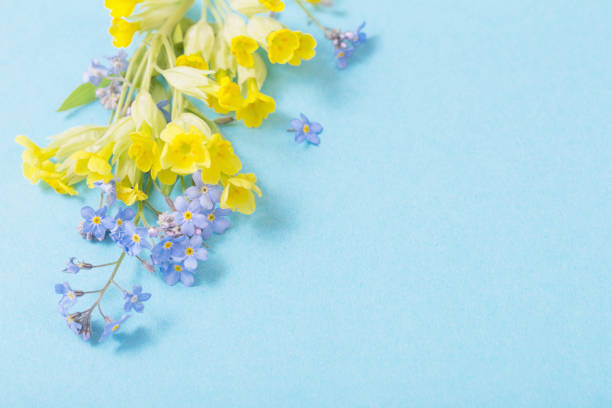 istock wild flowers on paper  background 1226923691