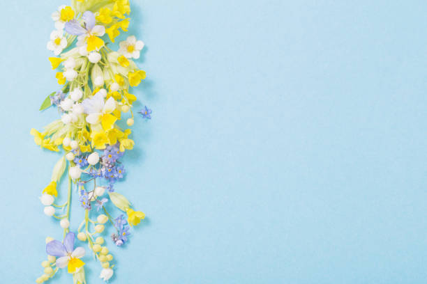 istock wild flowers on paper  background 1226923702
