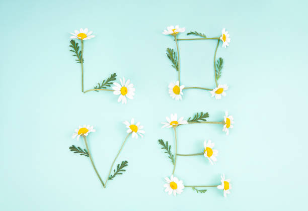 Minimal Mother's Day flat lay floral composition. Valentine's Day romantic concept.
