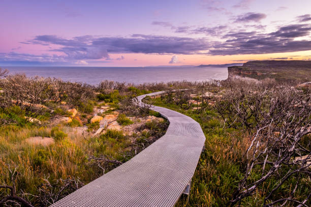 Hiking in Royal National Park