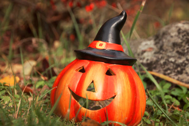 Carved cat jack-o'-lantern creating a festive halloween atmosphere with pine cones