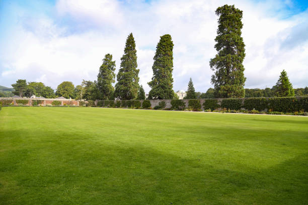 istock Green lawns in spring 1226930960