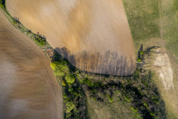 istock agriculture land drone view 1226931144
