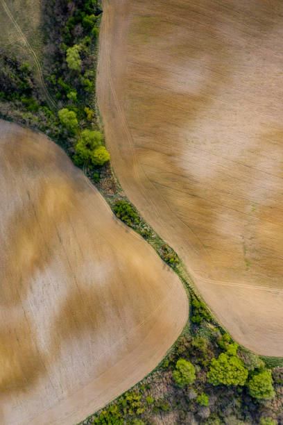 istock agriculture land drone view 1226931150
