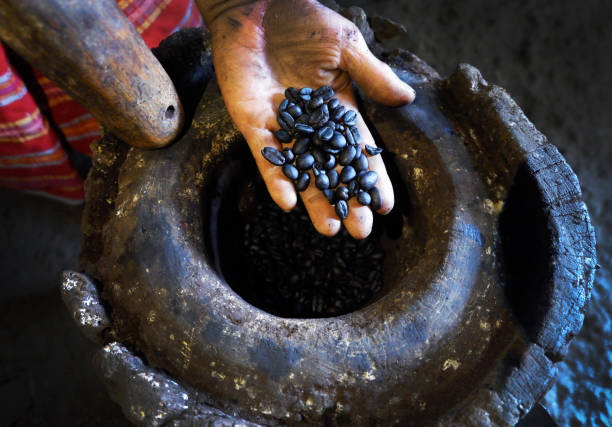 istock The Coffee, from Plantation to Cup 1226932053