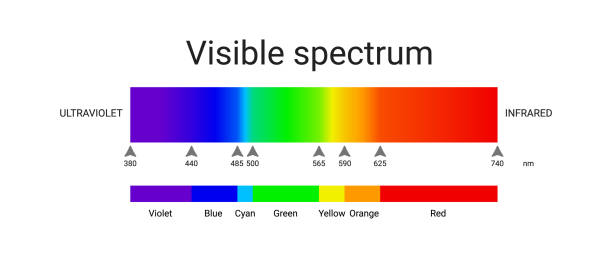 illustrations, cliparts, dessins animés et icônes de lumière du spectre visible. infographie de la longueur d’onde de la lumière du soleil. vecteur - electromagnet