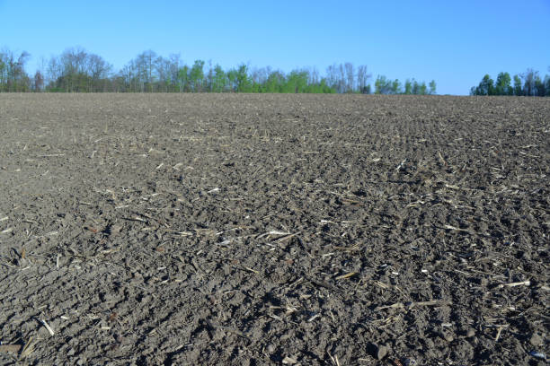 Farm field ready for seeding
