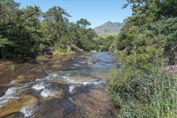 istock Mahai River cascading over rocks upstream from the Cascades 1226935913