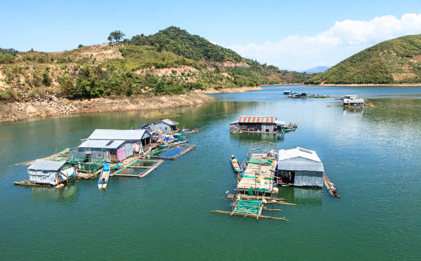 istock livestock farm on the river 1226936482
