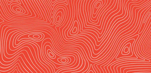 Vector illustration of Salmon fillet texture, fish pattern. Vector background with stripes salmon