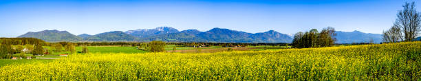 istock field at the european alps 1226937781
