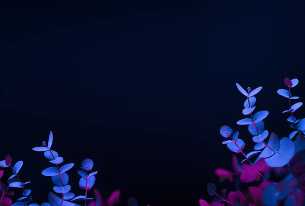 istock Light neon background with foliages. Glowing abstract backdrop with shiny gradients on petals. Exotic floral branch with pink and blue vivid colors. Forest twigs with beautiful backlight. 1226937919