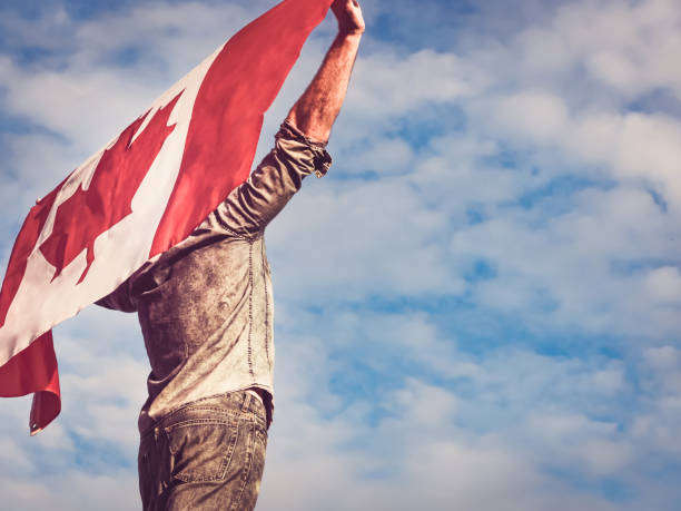 un hombre atractivo sosteniendo bandera canadiense. fiesta nacional - toronto canada flag montreal fotografías e imágenes de stock