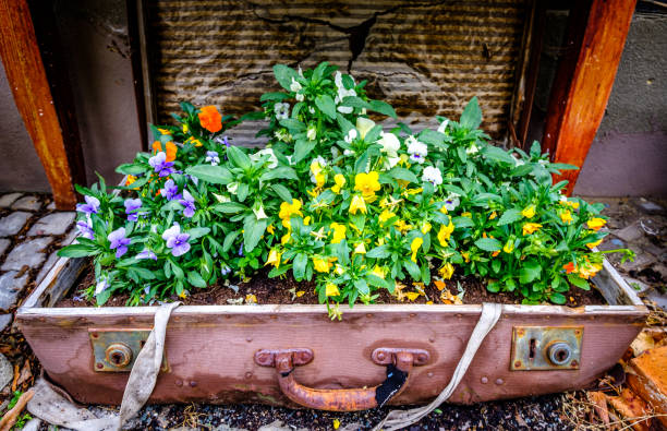 vintage decoration with flowers - photo