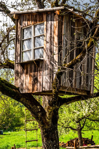 istock old wooden tree house 1226940112