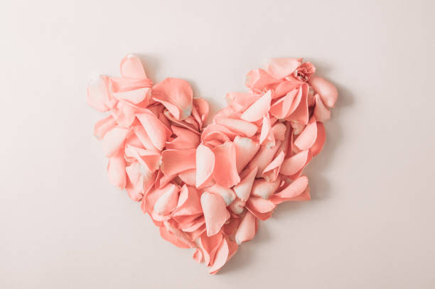 istock Heart with rose petals. Overhead top view, flat lay. 1226940925