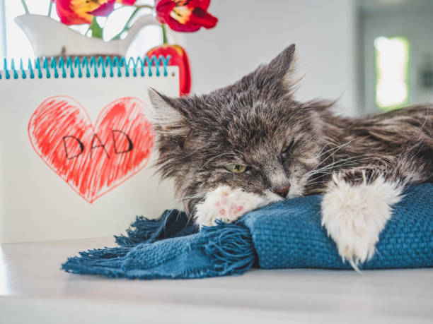 istock Charming kitten and heart drawing. Side view 1226941269