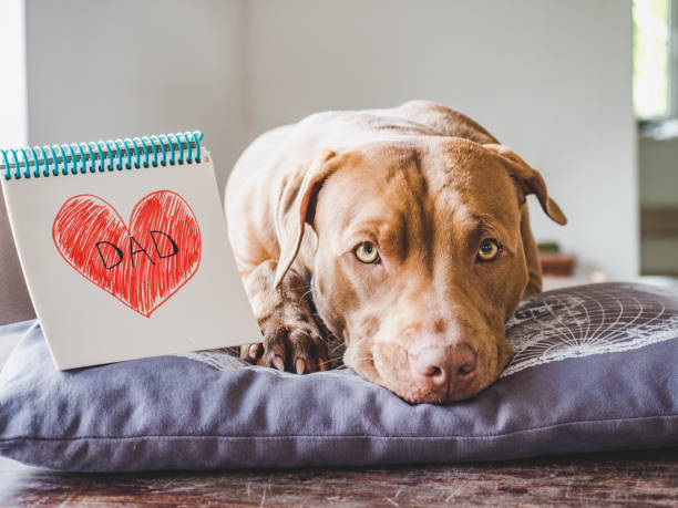 istock Charming puppy and heart drawing. Side view 1226941296