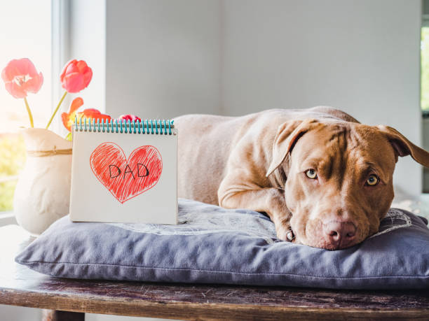 istock Charming puppy and heart drawing. Side view 1226941366
