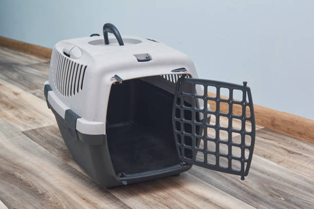 istock portable pet cage plastic on the floor 1226944547