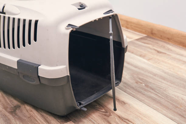 istock portable pet cage plastic on the floor 1226944563