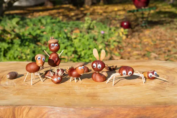 Group of characters or figurines made with chestnuts on a wooden background in a sunny day.