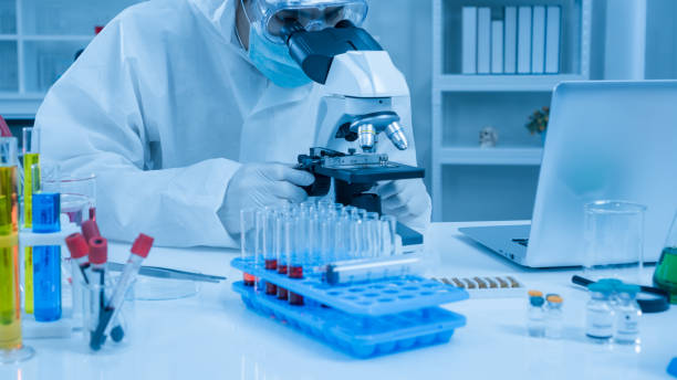 istock Researchers are experimenting in the laboratory. 1226946704